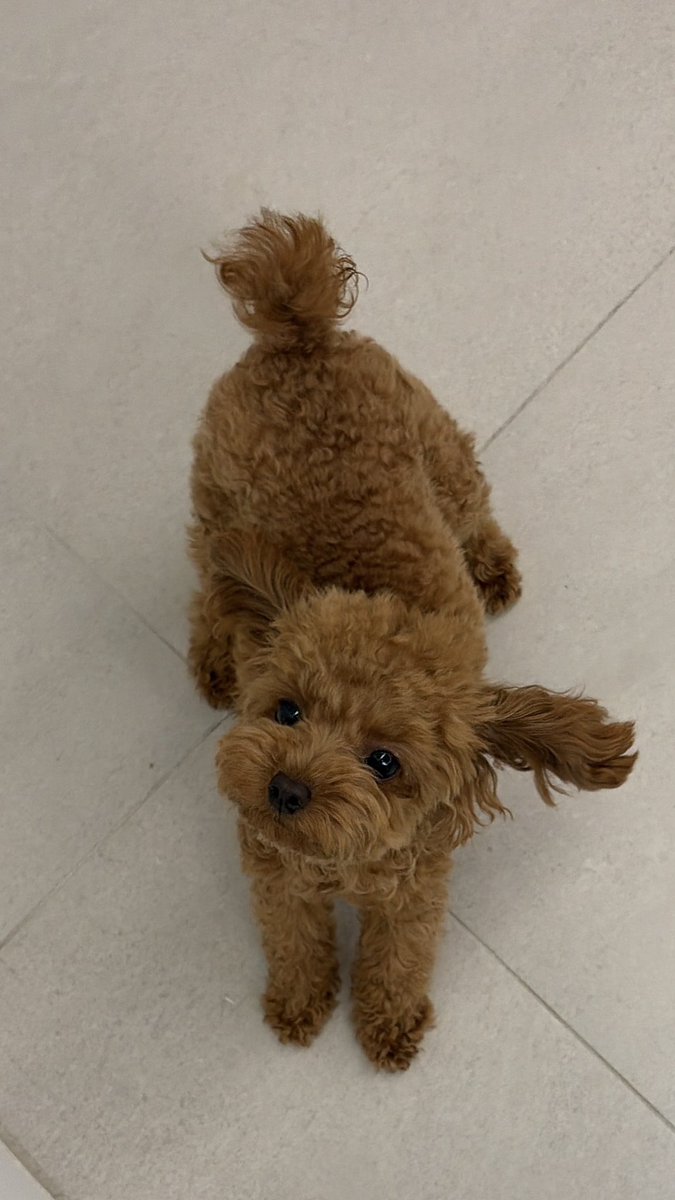 Migminmigm's tweet photo. 우드스틱이 있는데
왜 자꾸 책상을..🥹 https://t.co/6LdKnO8tf8