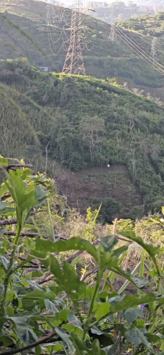 ANAHI1938's tweet photo. Desde muy temprano intervienen en la montaña.
Q alguien me diga y  explique cómo es que  organismos gubernamentales estén al corriente de lo que se hace aquí y presuntamente apoyen.
Esto es d un costado a nuestra comunidad, lado que también buscan ocupar. 
Son pura pantalla.👇🏽 https://t.co/jophSXjVT4
