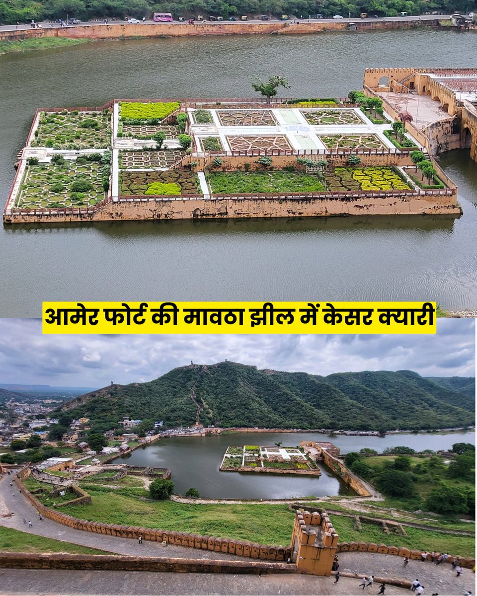 RameshImages's tweet photo. आमेर की मावठा झील के बीचों-बीच एक छोटा सा टापू है, जिस पर प्रसिद्ध केसर क्यारी उद्��ान बना हुआ है। मिर्जा राजा जय सिंह प्रथम ने इसका निर्माण करवाया था। उन्होंने कश्मीर से केसर के पौधे मंगवाकर यहाँ लगाने का प्रयास भी किया था।
#kesarkyari #mavtha #amerfort #amberfort #rameshsharma https://t.co/rqsRaACc7G