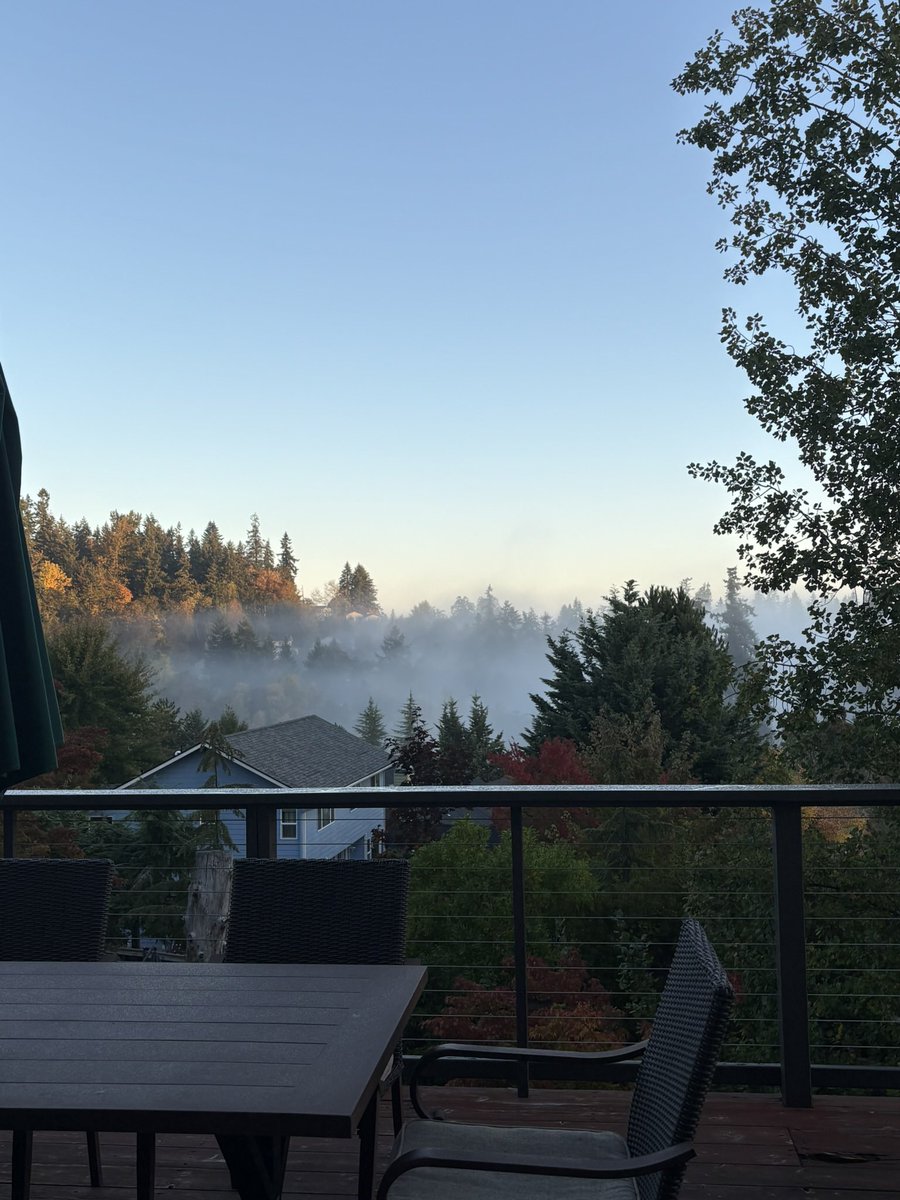 publicversfwb's tweet photo. @ozonemustdie the fog is Here back home. It’s coming and it’s here. https://t.co/g8aQiTCwAI