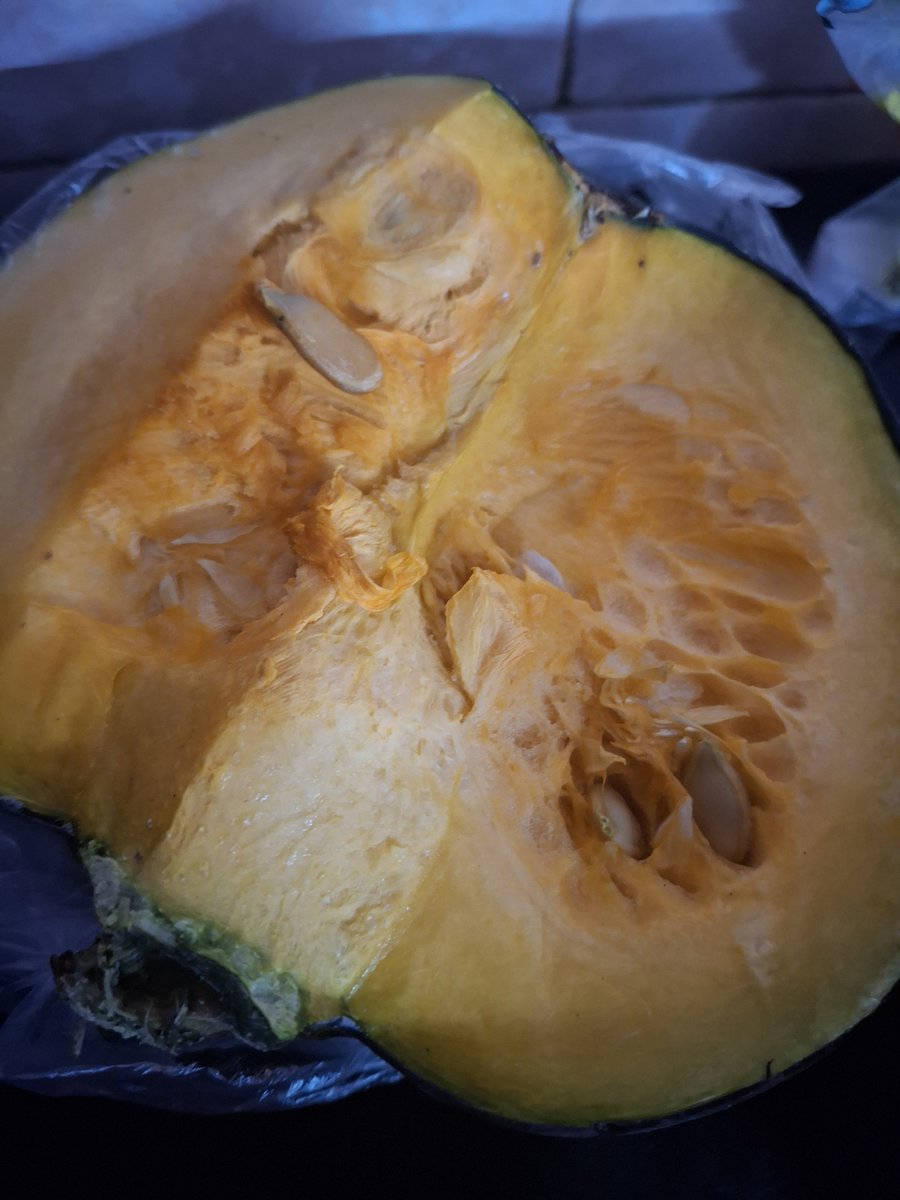 Rohinips1's tweet photo. Exams+pumpkin=cake
#neededabreak #kidsnme #WeekendUpdate https://t.co/ZtjKgjwhAk