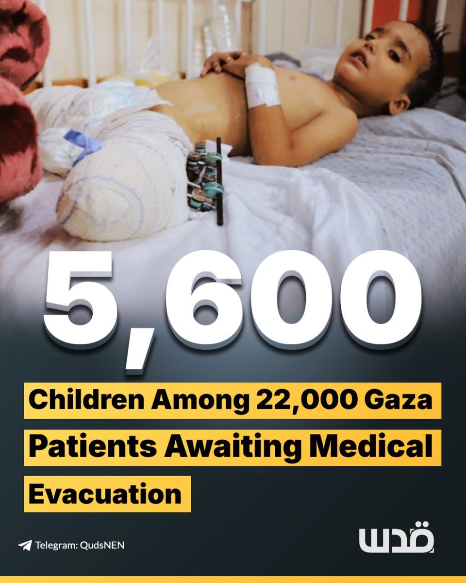 QudsNen's tweet photo. Around 5,600 children are among approximately 22,000 patients in Gaza waiting for urgent medical evacuation abroad, according to Dr. Ahmed Al-Farra of Nasser Medical Complex. 

He said continued delays and border crossing closures are preventing critically ill and wounded patients from accessing life-saving treatment, with two to three patients dying each day while awaiting transfer. 

Al-Farra called on the UN and international organizations to press for the immediate reopening of crossings and the resumption of medical evacuations.