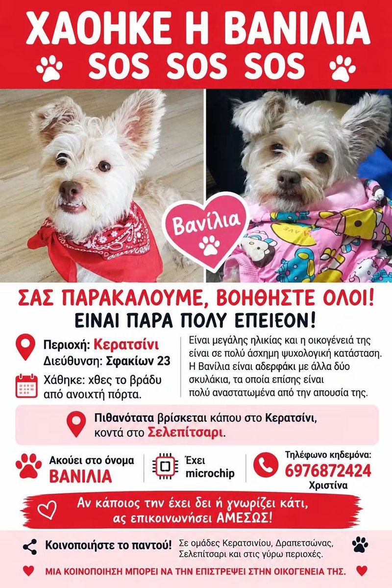 KatKatPt's tweet photo. 🆘️🆘️🆘️
Χάθηκε η Βανίλια στο Κερατσίνι Σφακίων 23
Πιθανότατα να βρίσκεται κάπου κοντά στο Σελεπιτσαρι 
Εχει τσιπ
Είναι μεγάλη σε ηλικία κ η οικογένεια της την ψάχνει με αγωνία 
Rt 🙏 🙏 🙏 https://t.co/b35ahmXY9r