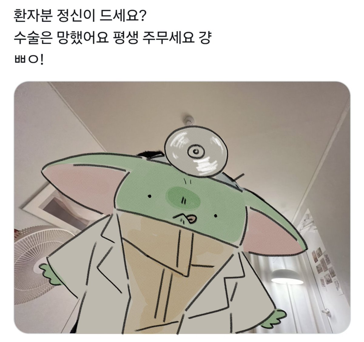olgami573631's tweet photo. 닥터 그로구 https://t.co/CXDWGQFTwb