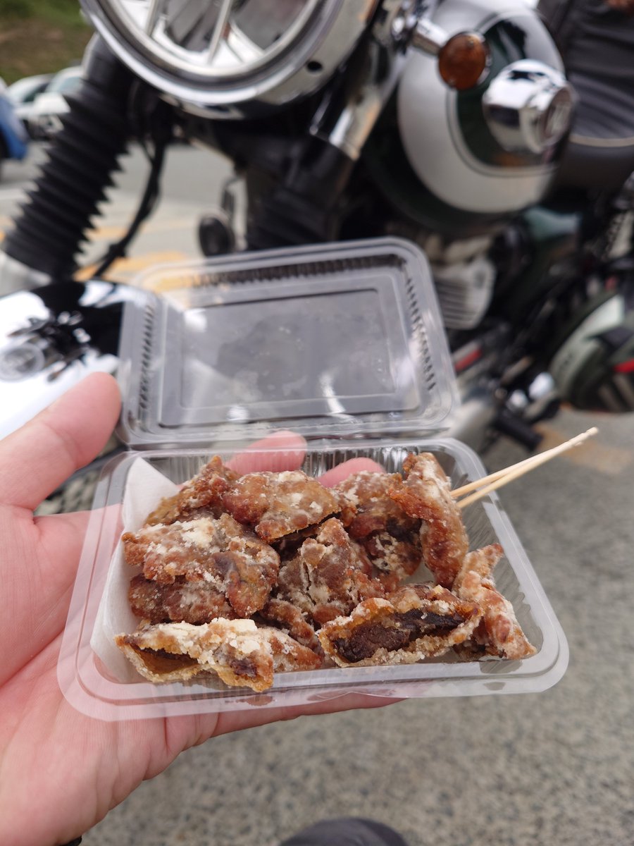 wavelets72's tweet photo. お昼ご飯はふぐとクジラ！
ごちそうさまでした！

ちなみに駐車場で
現地のW800乗りの方に
声をかけていただきました！
10月の広島開催KCBMでの再開を
誓いました！

#カワサキ #W800 #ソロツー
#道の駅 #北浦街道豊北 #ソロツーごはん https://t.co/u1IkjJb5lk