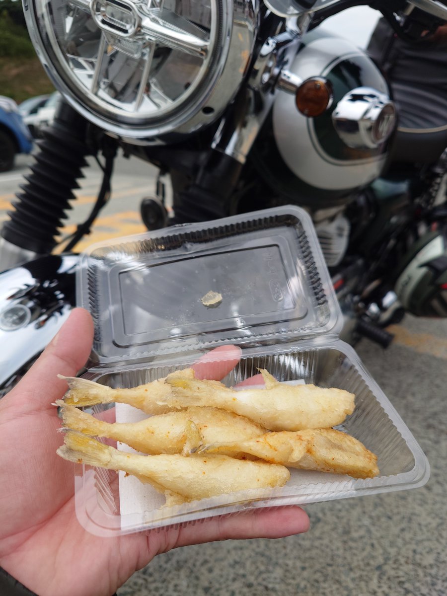 wavelets72's tweet photo. お昼ご飯はふぐとクジラ！
ごちそうさまでした！

ちなみに駐車場で
現地のW800乗りの方に
声をかけていただきました！
10月の広島開催KCBMでの再開を
誓いました！

#カワサキ #W800 #ソロツー
#道の駅 #北浦街道豊北 #ソロツーごはん https://t.co/u1IkjJb5lk