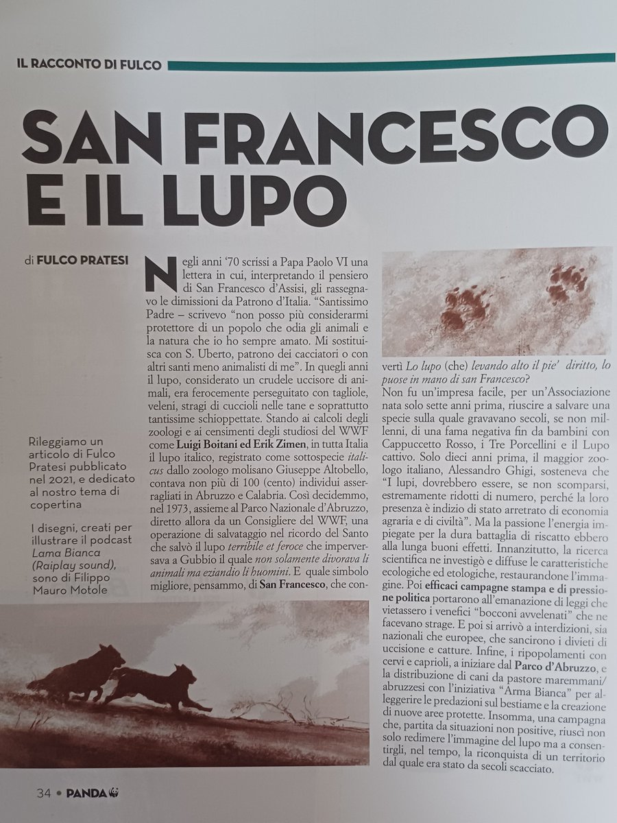 WWFitalia's tweet photo. Oggi si celebra #Francesco il Santo di Assisi patrono d'italia che ci ha insegnato, tra le altre cose, il messaggio della convivenza tra umani e #animali 
Coltiviamo e mettiamo in pratica il suo messaggio. 
Qui un articolo pubblicato da Fulco Pratesi nel 2021 su "Panda" https://t.co/3G1rxT48ha