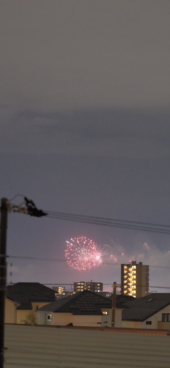 onikameko's tweet photo. ベランダから花火撮影🎆
このマンション気に入った📷🦭
#fujifilm #gfx100s2 #gf110mmf2 https://t.co/zY0gVdFUpV