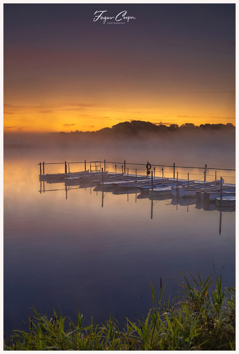 ThisIsIreland3's tweet photo. Dawn fog on Knockaderry Reservoir, Ballyduff 🌅💚
📍Kilmeaden, County Waterford 🇮🇪
📸 Fergus Cooper
Good afternoon from Ireland ☘️
Have a great Sunday everyone 💚
#Waterford #Kilmeaden #Ireland #Ballyduff #Sunday #Goodafternoon #Knockaderry https://t.co/bGfITNLqkW