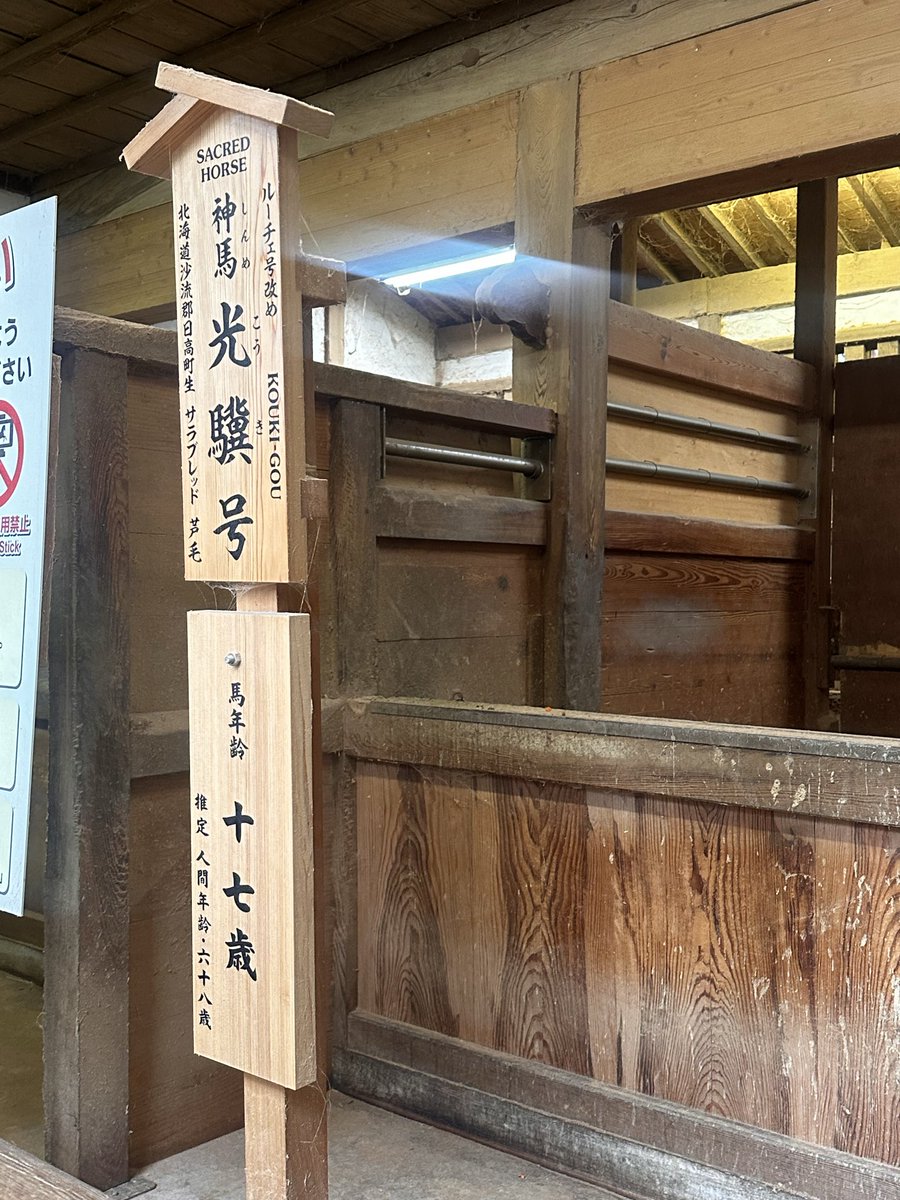 shizkan15's tweet photo. 午年に後ろ向きではありますが、
初めて神馬に出逢うことが出来ました。

金刀毘羅宮の山は、
上空からみると、象の頭に見えることから
その名を象頭山(ぞうずさん)と言い、境内に像があり、長く神仏習合だった金刀毘羅の語源は仏教からという深い縁も感じます。
#光世先生
#ほとけ様 https://t.co/gS9ezzNtlo
