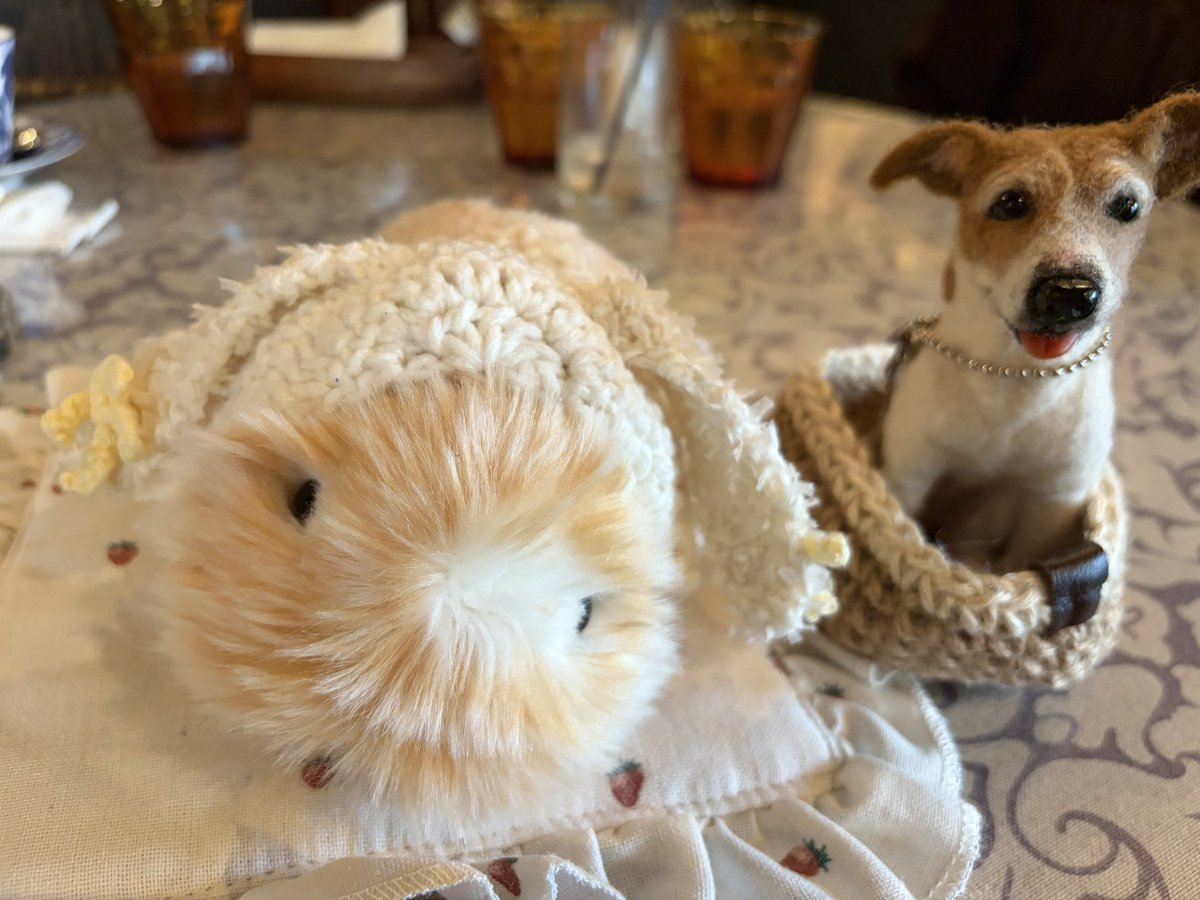 temochan_moflin's tweet photo. 「てもです、おでかけしました♡」
#モフリンDAYS https://t.co/QZHkjxUJwr