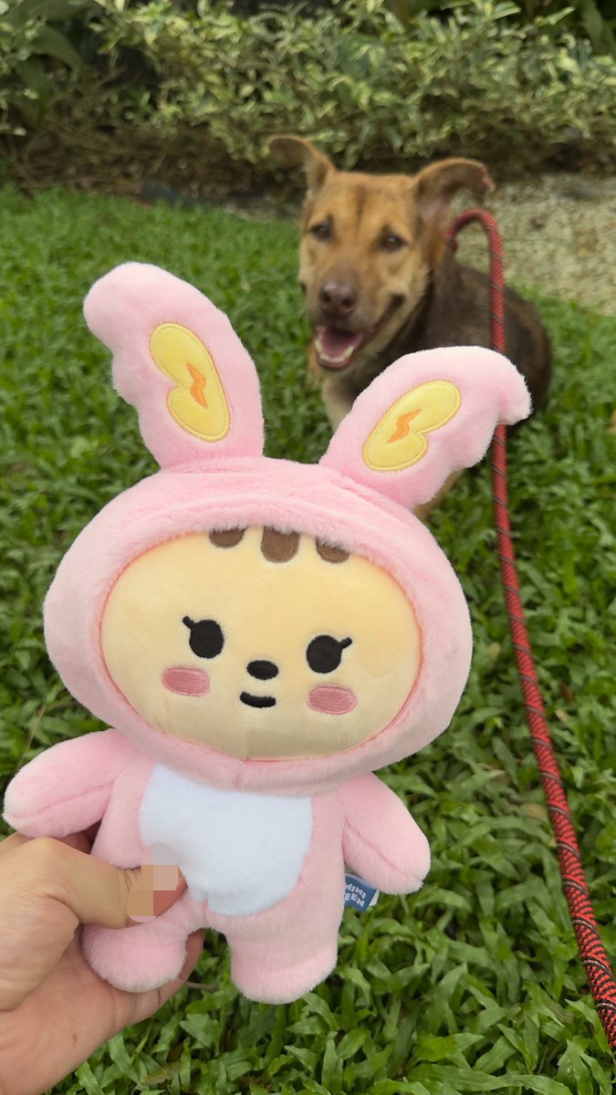 zkdlscoups's tweet photo. 1004 #PlayWithYoon Story Time!
say hi to gwapo n toram hihi 🩷🤎 https://t.co/y8v67xZDXd