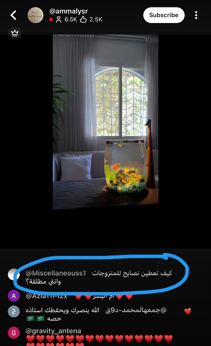 c6wsp9's tweet photo. اههخخ ههههههههههههههههههههههههههه
#القبض_علي_ام_اليسر #القبض_على_ام_اليسر https://t.co/GGogVRR6W2