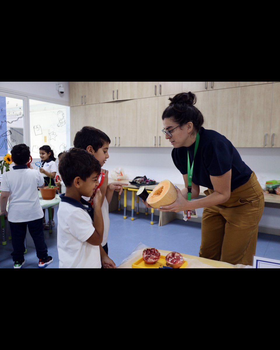 AISQ8's tweet photo. This week our KG2 botanists explored seeds, leaves, flowers, fruits and vegetables, looking closely, noticing details and asking questions. 🌱🔍 
A curious start to their how the world works unit! 🌻

#aisq8 #HandsOnLearning #PlantInquiry #IBPYP #kgstem https://t.co/2O1DyYXG79