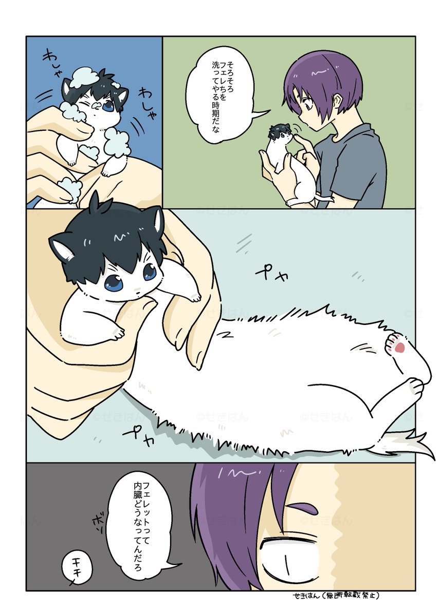 sbii41's tweet photo. roとﾌｪﾚち
洗われるﾌｪﾚち♨ https://t.co/gcog4SSMDH