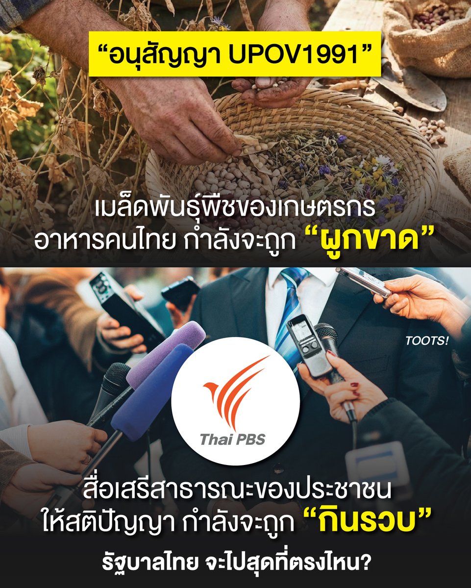 tootsyreview's tweet photo. รัฐบาลไทย จะไปสุดที่ตรงไหน?

บทความนี้เขียนเพื่อรณรงค์ 2 ประเด็นที่น่าเป็นห่วงในไทย #คัดค้านUPOV1991 และ #SaveThaiPBS

พอมองวิธีการใช้อำนาจของรัฐตอนนี้ รู้สึกวิตกกังวลกับการใช้ชีวิตอย่างมาก 2 เรื่องราวที่เหมือนจะเป็นคนละเรื่องกัน แต่กลับสะท้อนปัญหาเดียวกันออกมาได้อย่างน่ากลัว

"กินรวบ-ผูกขาด" กำลังจะเกิดขึ้น หากเราไม่สามารถหยุดรัฐบาลได้สำเร็จ

<3 ประเด็นความกังวลและผลกระทบจาก UPOV 1991 ต่อการผูกขาดเมล็ดพันธุ์พืช

หากประเทศไทยยอมรับเงื่อนไข UPOV 1991 หรือต้องปรับแก้ไข พ.ร.บ. คุ้มครองพันธุ์พืช พ.ศ. 2542 ให้เป็นไปตามอนุสัญญานี้ คาดว่าจะส่งผลกระทบต่อภาคเกษตรกรรมและเศรษฐกิจฐานรากใน 7 ประเด็นหลัก

1. จำกัดสิทธิ์เกษตรกร: เกษตรกรจะไม่สามารถเก็บ เมล็ดพันธุ์ไว้ปลูกต่อในฤดูกาลถัดไป รวมถึงไม่สามารถแบ่งปัน หรือแลกเปลี่ยนซื้อขายเมล็ดพันธุ์กันเองในชุมชนได้ตามวิถีเดิม

2. ราคาเมล็ดพันธุ์แพงขึ้น 2–6 เท่า: เกษตรกรต้องพึ่งพาเมล็ดพันธุ์จากบริษัทเอกชนขนาดใหญ่ เนื่องจากบทบาทภาครัฐในการผลิตและกระจายพันธุ์พืชจะลดลง

3. เสี่ยงต่อการเกิดโจรสลัดชีวภาพ (Biopiracy): อาจสูญเสียการกำกับดูแลและการแบ่งปันผลประโยชน์ เปิดช่องให้ต่างชาตินำพันธุกรรมพืชไทยไปจดสิทธิบัตรในต่างประเทศ แล้วนำกลับมาขายแข่งกับนักปรับปรุงพันธุ์ไทย

4. ความเสี่ยงทางคดีความ: การคุ้มครองขอบเขตครอบคลุมไปถึงผลผลิตและสินค้าแปรรูป ทำให้ร้านค้าปลีกและผู้ค้ารายย่อยที่ไม่มีระบบรับรองซับซ้อน เสี่ยงต่อการถูกฟ้องร้องละเมิดสิทธิ

5. ความเสี่ยงถูกละเมิดสิทธิโดยไม่เจตนา: ละอองเกสรพืชใหม่อาจปลิวมาผสมกับพืชพื้นเมืองตามธรรมชาติ ซึ่งอาจถูกมองว่าเป็นพันธุ์พืชที่ได้มาโดยพื้นฐาน (EDV) กระทบต่อวิถีชีวิตเกษตรกร

6. การเอื้อประโยชน์และผูกขาด: ตลาดจะกระจุกตัวอยู่ในกลุ่มบรรษัทขนาดใหญ่ที่พร้อมทั้งทุนและเทคโนโลยี กีดกันนักปรับปรุงพันธุ์รายย่อย สหกรณ์การเกษตร และเปิดทางสู่พืชดัดแปลงพันธุกรรม (GMOs)

7. กระทบความหลากหลายทางชีวภาพและความมั่นคงทางอาหาร: ส่งผลเสียต่อภาพลักษณ์สินค้าเกษตรอินทรีย์และการส่งออกในระยะยาว

ข้อเรียกร้องของเครือข่ายเกษตรกรต่อรัฐบาล :
1. ตัดข้อบท UPOV 1991 ออกจากการเจรจา FTA: ปฏิเสธข้อเสนอของสหภาพยุโรป และไม่ยอมรับข้อความหรือแรงกดดันใดๆ ที่จะบังคับให้ไทยต้องแก้ไข พ.ร.บ. คุ้มครองพันธุ์พืช พ.ศ. 2542

2. คงการคุ้มครองตามหลักการเดิม: ยืนยันให้ใช้ พ.ร.บ. คุ้มครองพันธุ์พืช พ.ศ. 2542 ซึ่งอิงตามหลักการความตกลง TRIPS ขององค์การการค้าโลก (WTO) อยู่แล้ว ซึ่งมีความเหมาะสมและคุ้มครองสิทธิเกษตรกรกับความหลากหลายทางชีวภาพของไทยได้ดีกว่า

จากข้อมูลข้างต้น การเจรจาความตกลงการค้าเสรี (FTA) ไทย–สหภาพยุโรป (EU) รอบที่ 10 ซึ่งสิ้นสุดลงในวันอังคารนี้ (วันที่ 6 ตุลาคม 2026) เป็นประเด็นสำคัญที่เครือข่ายเกษตรกรและภาคประชาสังคมออกมาเคลื่อนไหวเรียกร้องให้รัฐบาลไทย "ปฏิเสธข้อผูกพันภายใต้อนุสัญญา UPOV 1991" เพื่อปกป้องระบบเกษตรกรรมของประเทศ

============

<3 วิกฤตสื่อสาธารณะ: เมื่อโครงสร้างงบประมาณใหม่ อาจสั่นคลอน ‘ความเป็นอิสระ’ ของไทยพีบีเอส #Saveไทยพีบีเอส

1. สรุปสถานการณ์ที่ช่องเผชิญหน้า :
- การเสนอร่างพระราชบัญญัติแก้ไขเพิ่มเติม พ.ร.บ. องค์การกระจายเสียงและแพร่ภาพสาธารณะแห่งประเทศไทย พ.ศ. 2551 หรือ #ไทยพีบีเอส โดยอำนาจสีน้ำเงิน กำลังกลายเป็นประเด็นที่ถูกจับตามองอย่างใกล้ชิดจากทุกภาคส่วนในสังคม

- เนื่องจากร่างกฎหมายดังกล่าวเสนอให้ปรับเปลี่ยนแหล่งรายได้หลักของไทยพีบีเอส (ส.ส.ท.) จากเดิมที่จัดเก็บจากเงินบำรุงองค์การผ่านภาษีสุราและยาสูบ ให้เปลี่ยนมาเป็นเงินงบประมาณรายจ่ายประจำปีแทน โดยอ้างเหตุผลเพื่อรักษาวินัยการเงินการคลังอย่างเคร่งครัดเพื่อให้ฐานะทางการเงินการคลังของรัฐมีเสถียรภาพและมั่นคงอย่างยั่งยืน

2. ความวิตกกังวลของสังคม :
- ข้อเสนอดังกล่าวตอกย้ำถึงความสุ่มเสี่ยงที่สถาบันสื่อสาธารณะจะถูกลดทอนเสรีภาพลง เพราะการเปลี่ยนที่มารายได้ให้อยู่ภายใต้กลไกงบประมาณรายจ่ายประจำปี อาจเปิดช่องให้อำนาจรัฐและกลุ่มการเมืองใช้เป็นเงื่อนไขในการต่อรอง กดดัน หรือแทรกแซงกระบวนการทำงานของสื่อ

- หากกระบวนการอนุมัติหรือปรับลดงบประมาณถูกนำมาใช้ควบคุมทิศทางข่าวสาร ไทยพีบีเอสก็อาจสูญเสียหลักการก่อตั้งที่ต้องการให้เป็นสื่อสาธารณะที่เป็นอิสระจากอำนาจรัฐ พรรคการเมือง และกลุ่มทุน และเสี่ยงที่จะตกเป็นเครื่องมือในการโฆษณาชวนเชื่อของฝ่ายบริหารในที่สุด

3. แถลงจุดยืนจาก ส.ส.ท. :
- ทางด้าน องค์การกระจายเสียงและแพร่ภาพสาธารณะแห่งประเทศไทย (ส.ส.ท.) ได้ออกแถลงการณ์ยืนยันจุดยืนว่า แม้จะเคารพกระบวนการทางกฎหมายและหลักวินัยการเงินการคลังของรัฐ แต่การเปลี่ยนโครงสร้างรายได้มิใช่เพียงเรื่องการบริหารจัดการงบประมาณ หากแต่ผูกพันโดยตรงกับ "หลักประกันเชิงสถาบันเรื่องความเป็นอิสระของสื่อสาธารณะ" ซึ่งเป็นหลักการที่ พ.ร.บ. ThaiPBS พ.ศ. 2551 รับรองไว้

- ส.ส.ท. เน้นย้ำว่า ความเป็นอิสระทางการเงินและบรรณาธิการไม่ได้เป็นไปเพื่อประโยชน์ขององค์กรหรือบุคลากร แต่เป็นหลักประกันของประชาชนทุกคนในการเข้าถึงข้อมูลข่าวสารที่เที่ยงตรง รอบด้าน และซื่อตรงต่อจรรยาบรรณ

- ดังนั้น การปรับเปลี่ยนใดๆ ต้องคำนึงถึงทั้งสองหลักการอย่างสมดุล และต้องมีกลไกทางกฎหมายที่คุ้มครองความเป็นอิสระไม่ให้ต่ำไปกว่าเจตนารมณ์เดิม

สื่อสาธารณะเป็นสถาบันทางสังคมที่ประชาชนทุกคนร่วมเป็นเจ้าของ ในช่วงเวลาที่ร่างกฎหมายฉบับนี้กำลังเปิดรับฟังความคิดเห็นจากสาธารณชน ประชาชนทุกคนจึงมีส่วนสำคัญในการส่งเสียง และแสดงทัศนะต่อร่าง พ.ร.บ. ดังกล่าว เพื่อร่วมกันรักษาสื่อสาธารณะให้อยู่บนหลักการความถูกต้อง เป็นกลาง และรับใช้ประโยชน์ของสังคมอย่างแท้จริง

========

จากความวิตกกังวลในตอนนี้ ผมมองว่าประเทศไทยอยู่ใน "สภาวะไม่ปกติ" อย่างมาก และอยากให้เรามองเห็นปัญหาร่วมกันครับ หวังว่าคุณจะร่วมกันส่งเสียงสะท้อนปัญหาของประเทศ ด้วยพลังของคุณ อย่านิ่งเฉยกับความผิดปกตินี้นะครับ

#ตุ๊ดส์review

======

FACEBOOK POST :
https://t.co/QkMpO6PEhi

======

ฝากช่องทางต่างๆของบอย ตุ๊ดส์review :
https://t.co/04tJb8zcas
https://t.co/C7HFAS0Gby
https://t.co/qfcSflewGd
https://t.co/VTDOnL69tr
https://t.co/ic0gyGSKnI
https://t.co/Nj7VfQMcT4
https://t.co/vJ6PcERUHa