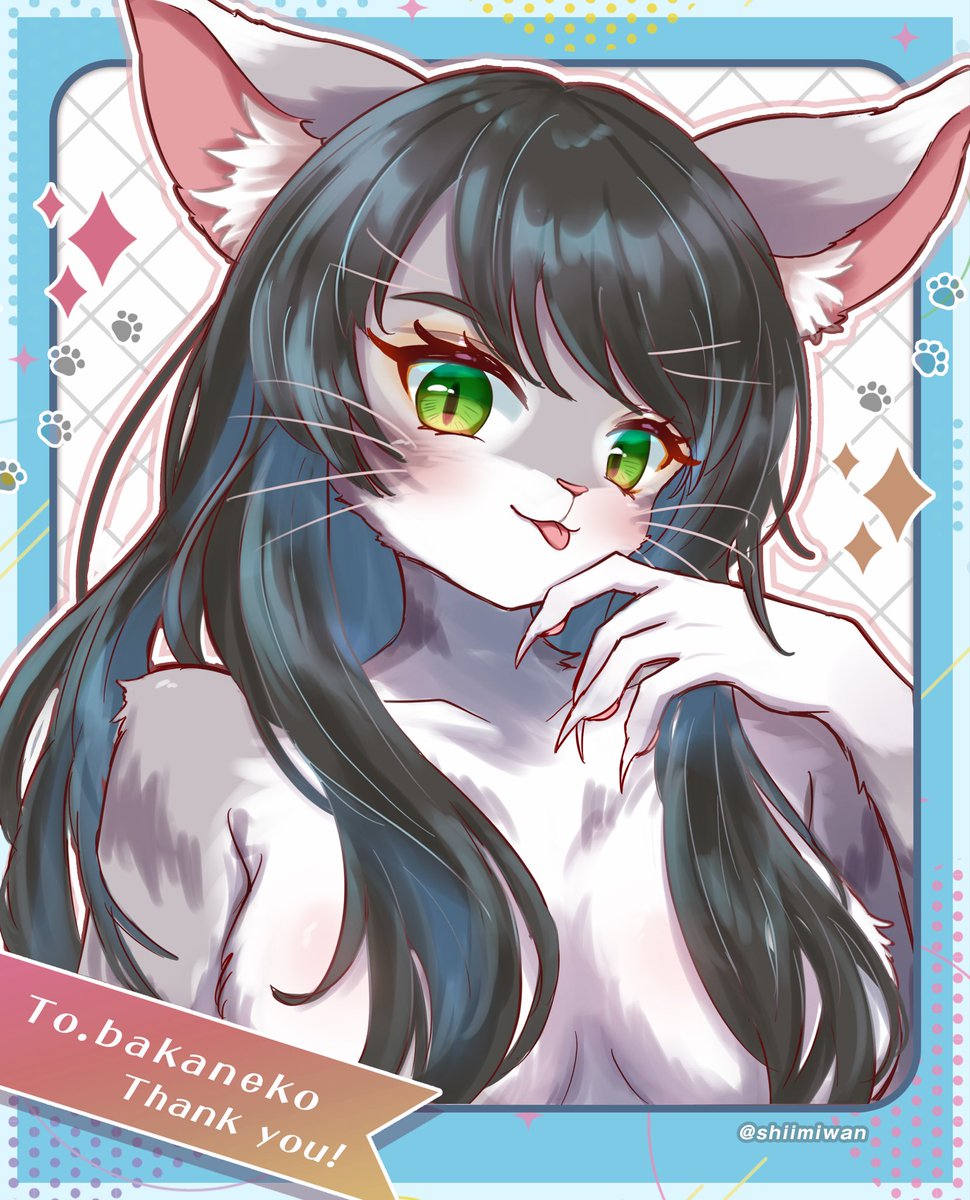 shiimiwan's tweet photo. 🐈‍⬛✨ https://t.co/V2e4ArOSfl