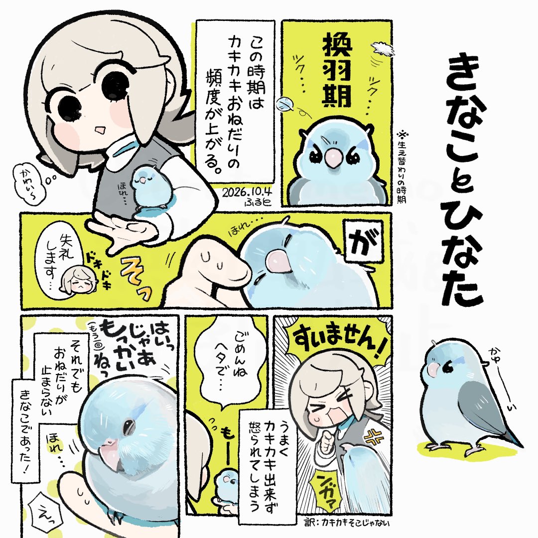 furuto_memo's tweet photo. 🪽

#インコ #マメルリハインコ #イラスト #illustration #漫画が読めるハッシュダグ https://t.co/nH2Ayl5yN4