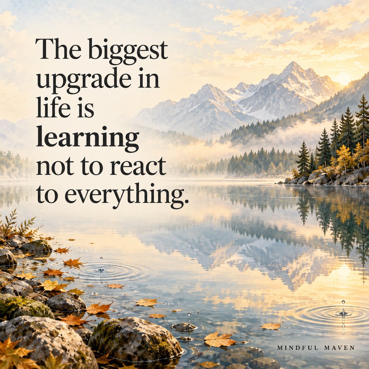 mindfulmaven_'s tweet photo. https://t.co/i64LRttgiR