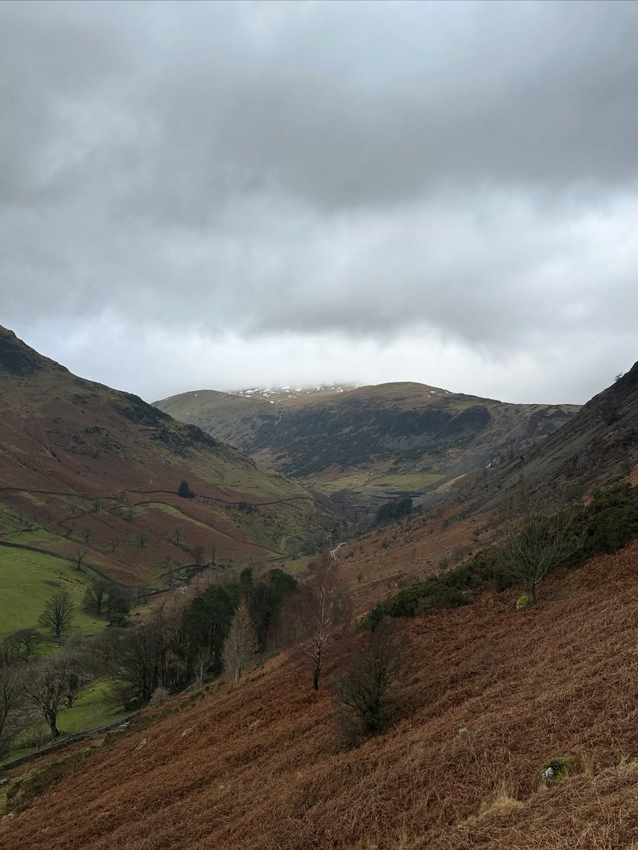 home_on_craj35v's tweet photo. Week 2/52 consisted of good views, good food and great company 🗻🥾

The Lake District | Weekend Break | GlenRidding Dodd https://t.co/PGXghrhYnL