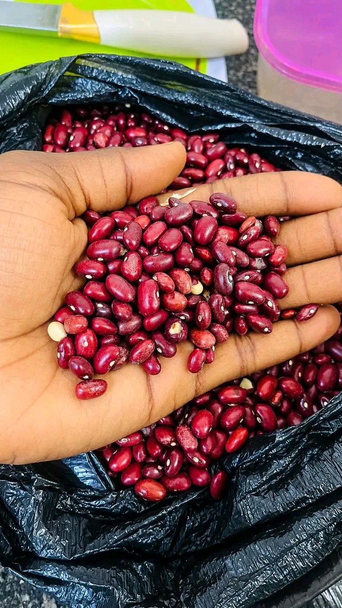 BalogunSonia4's tweet photo. Anywhere you see this beans, buy it.

This is the sweetest beans I have eaten.

This is tiny kidney beans by the way. https://t.co/xoYqRcdNQ5