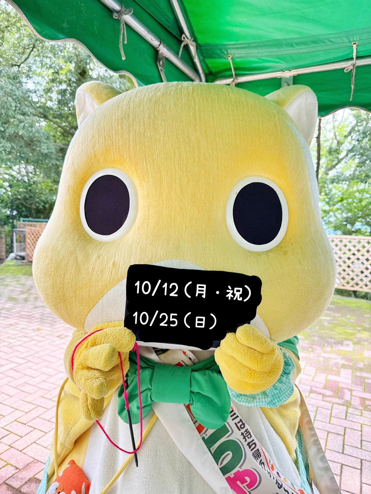 ムッちゃん (@MountTakao) / X