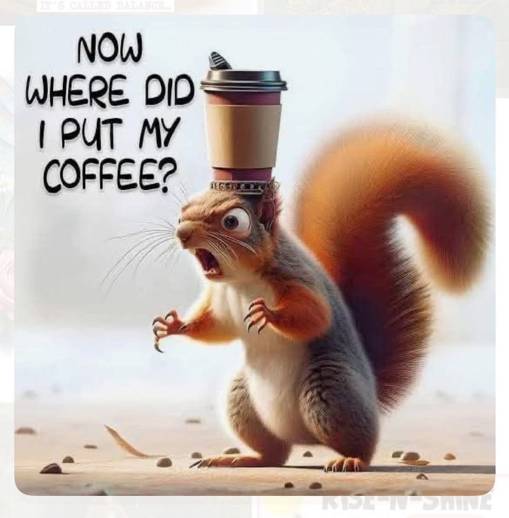 honeysuckleknol's tweet photo. @GSmokesweed1 Good morning Grandma  😊 Have a great day! 💚💚💚 https://t.co/yokf3xCurp