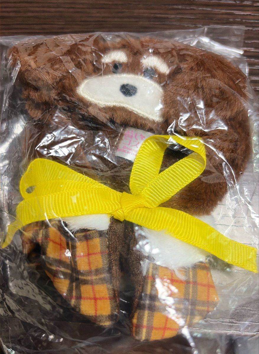 __cheeerry's tweet photo. 【交換】シュナとボブ ぬいコスぽんちょ 推し色

譲: ビター

求: パープル or ボブ(推し色2)

郵送交換希望です📮
よろしくお願いします🙇🏻‍♀️꙳⋆ https://t.co/iJbLyrGNw0