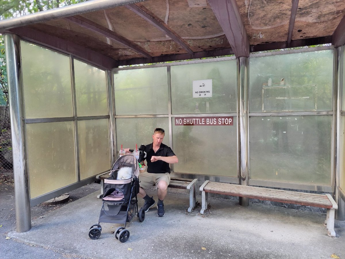 LowDawg92's tweet photo. Waiting for the bus that will never come https://t.co/nqPfLhNiaZ