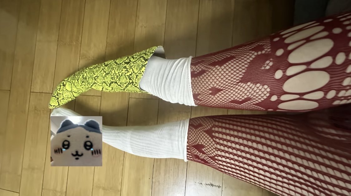Ckyjzc's tweet photo. 想舔主人的酸臭絲襪腳嗎？  說實話  #女s #小狗 https://t.co/n1EKN45EC9