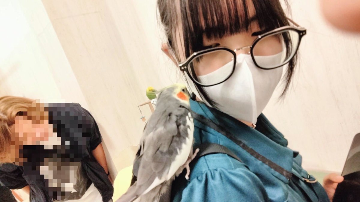 TukiyukiYune's tweet photo. 今日もお店の人に服褒められてほんとに嬉しい！！
 #自撮り  #雰囲気  #自撮り界隈 
 #雰囲気１ｍｍでもいいと思ったらいいね https://t.co/wyjvIbiEa6
