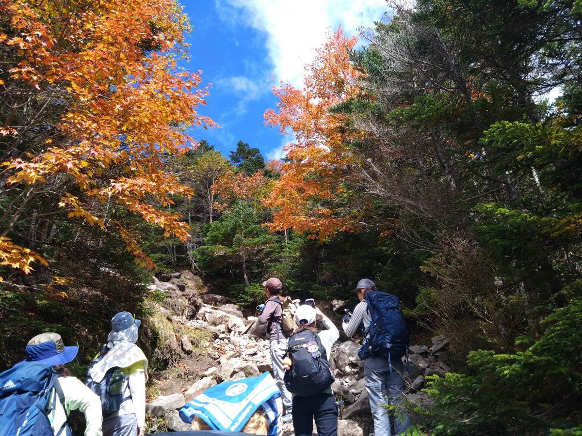 beans_yukki's tweet photo. 10/3登山の日は蓼科山を歩きました。八ヶ岳も秋がやってきますね。 https://t.co/TaRwrXViW6