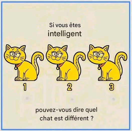 strength_km's tweet photo. Si vous êtes assez intelligent, laissez un commentaire. https://t.co/rMC6AnFfmM