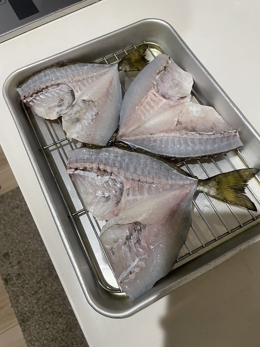 amachiking's tweet photo. 釣った魚で干物作りをしています🐟 https://t.co/AhIntut10l