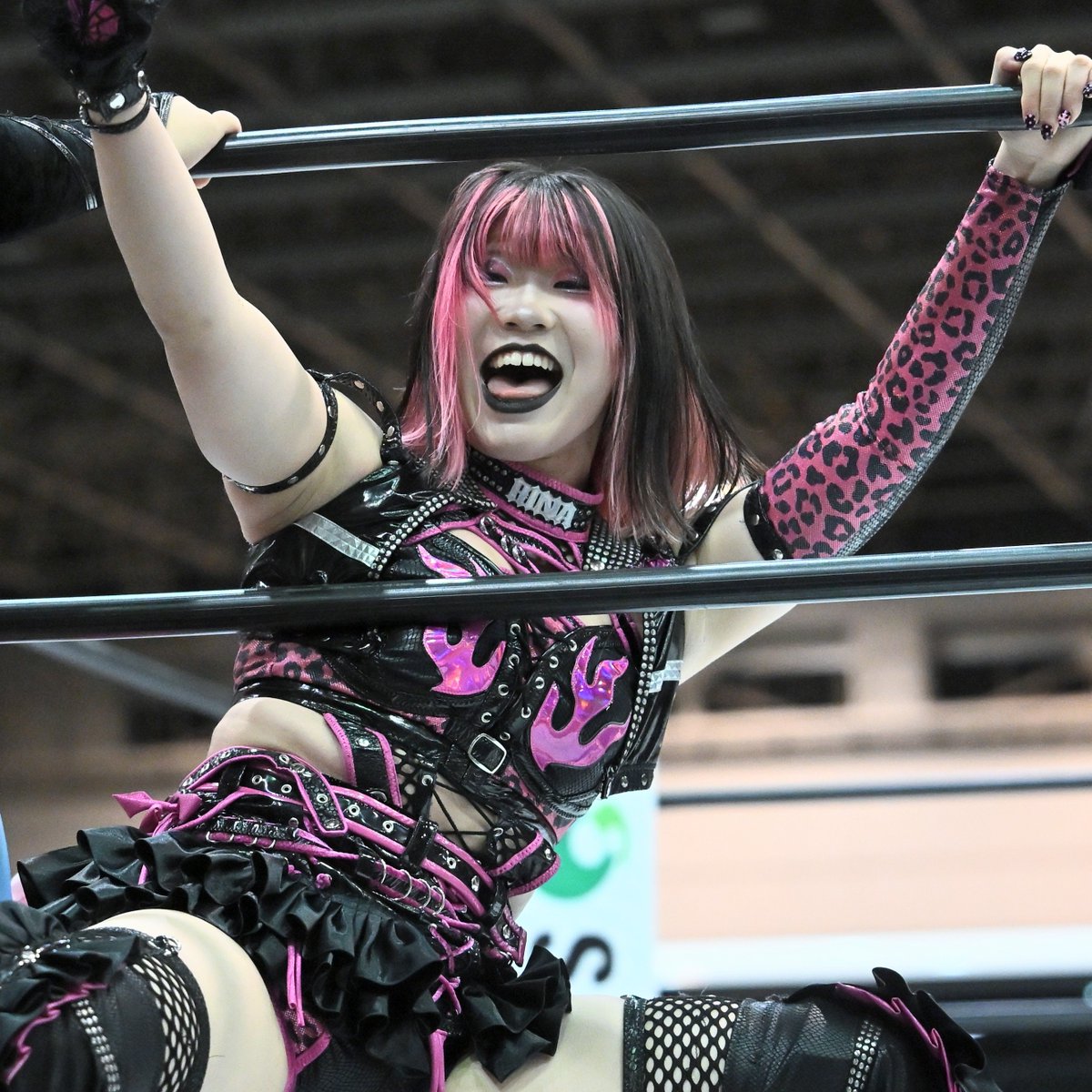 Umz8XjEPeQSTrVY's tweet photo. 吏南 選手👑
なつぽい 選手
飯田沙耶 選手

静岡 10/4

#STARDOM https://t.co/rrVgXBVBc6