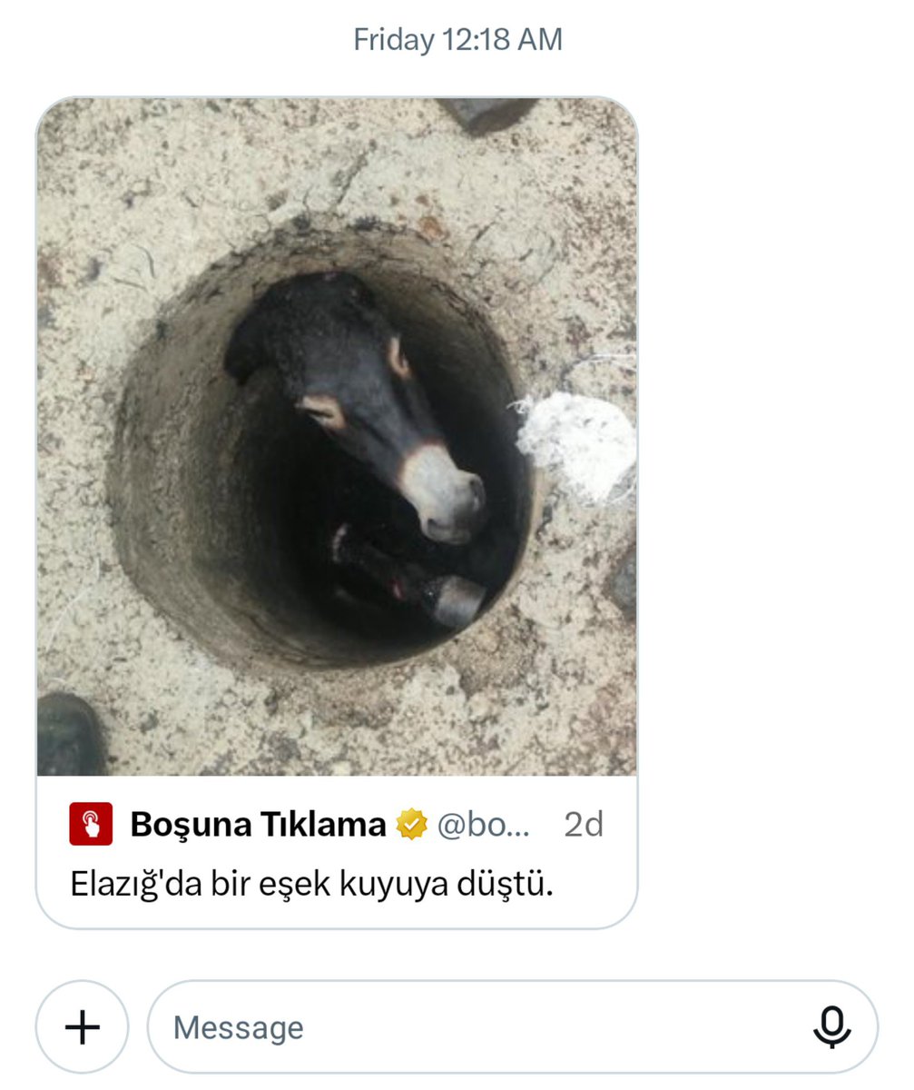 loveefromddd's tweet photo. isilin bana attigi postlar 💝 https://t.co/kev5VlGexO