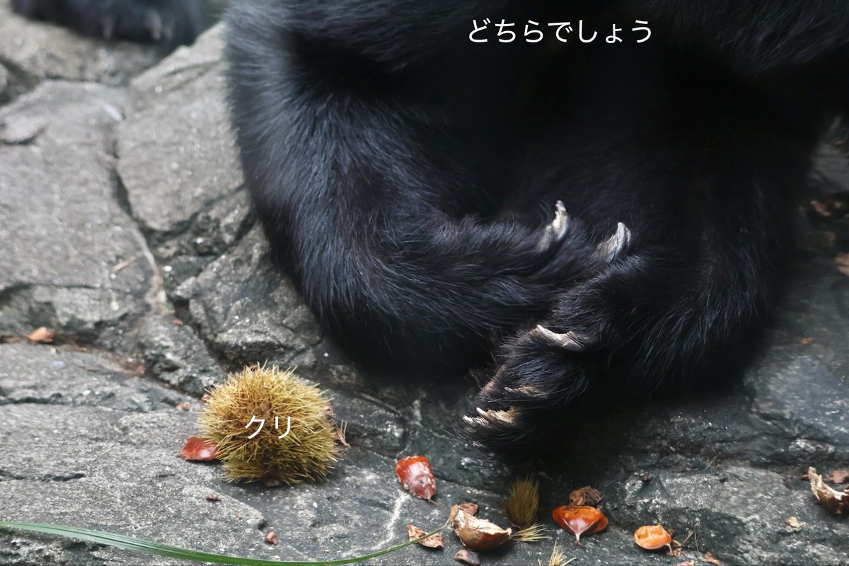 4mjsrk8's tweet photo. あまりにもびっくりでグチこぼした https://t.co/jWda5tGXDM