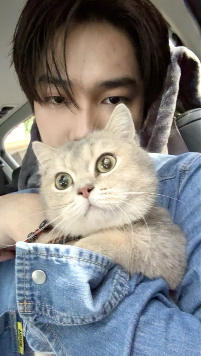 sillydeww's tweet photo. @sillyleean https://t.co/L43jNPaCvR