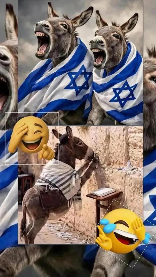 FUSILERO338's tweet photo. @IsraelVive1948 https://t.co/AJzS9Lr4PY