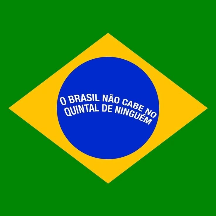 6Priska9's tweet photo. Já fiz meu serviço ao brasileiro, votem certo guys https://t.co/bqcAXGry3j