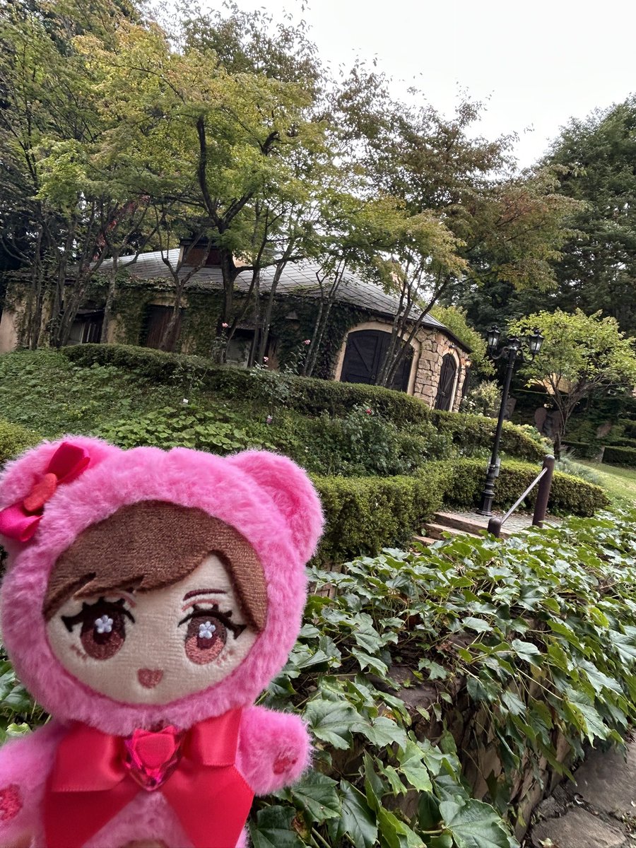 mochitaro93's tweet photo. ダイパレを感じてきた、みんなPVを見てください https://t.co/ztAQjiukqB