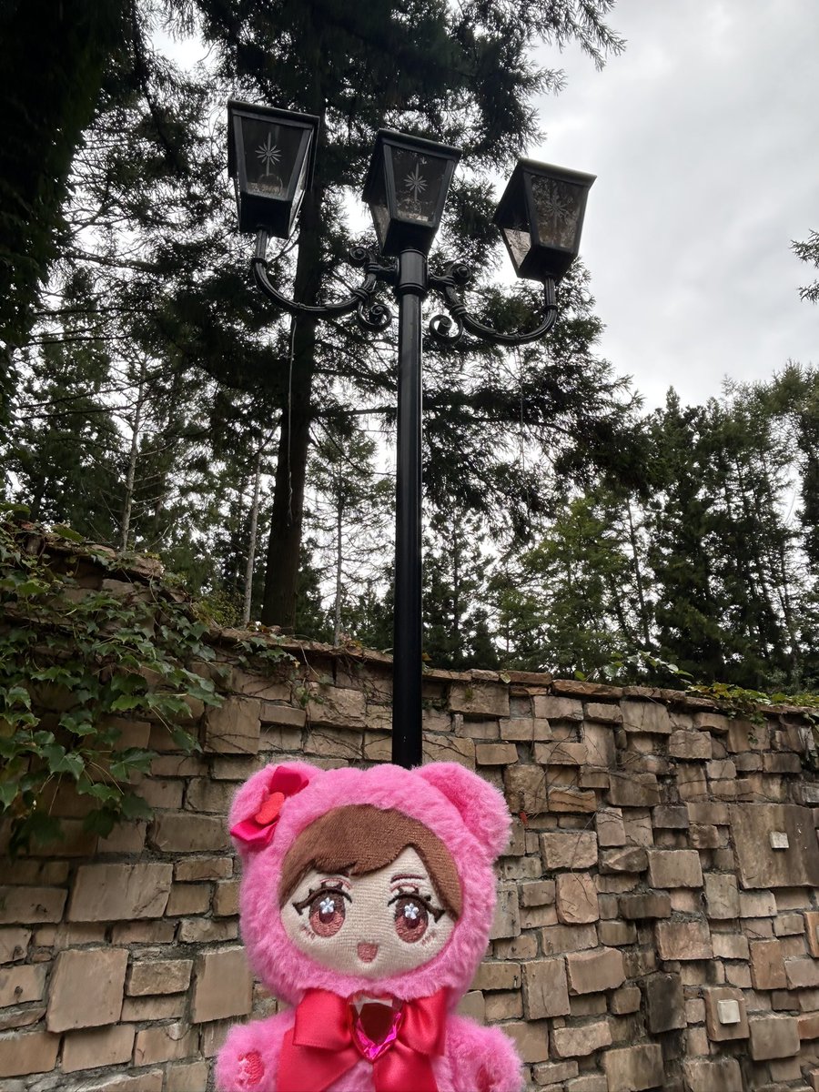mochitaro93's tweet photo. ダイパレを感じてきた、みんなPVを見てください https://t.co/ztAQjiukqB