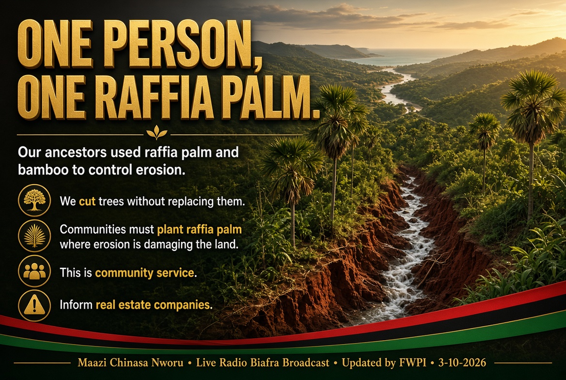 EmekaGift100's tweet photo. Rafia Palm Trees and Bamboo trees are what we can use to control erosion. Our ancestors used these trees to control erosion. Our topography and geography is closer to the sea and all the waterfalls are looking for their ways to flow into the ocean. 

We cut trees without replacing them. Real estate companies must also be informed. Communities should take up the service of planting rafia Palm Trees in the areas where erosion is damaging the land. This is a community service. One person, one rafia Palm Tree. 

Maazi Chinasa Nworu Live Radio Biafra Broadcast Updated By FWPI 
3-10-2026