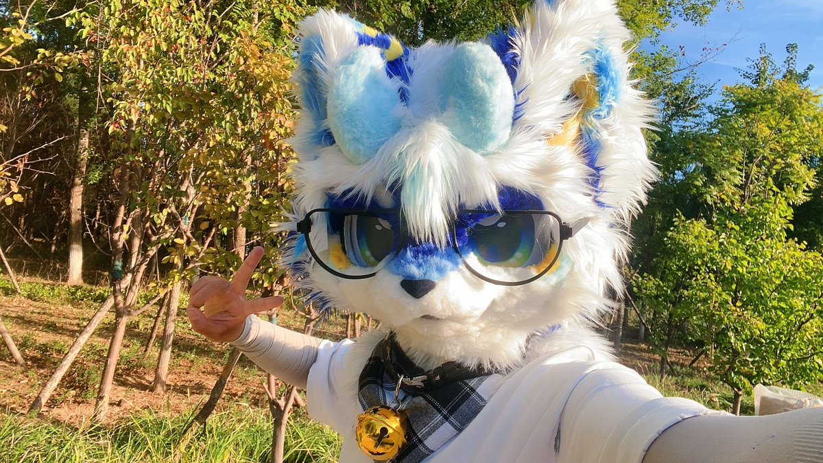 QingYefurry's tweet photo. https://t.co/xWrkKSEyw7