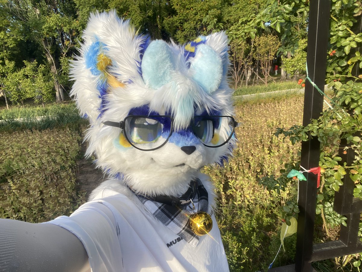 QingYefurry's tweet photo. https://t.co/xWrkKSEyw7