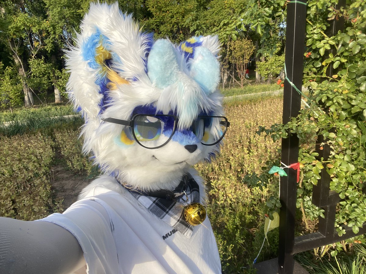 QingYefurry's tweet photo. https://t.co/xWrkKSEyw7