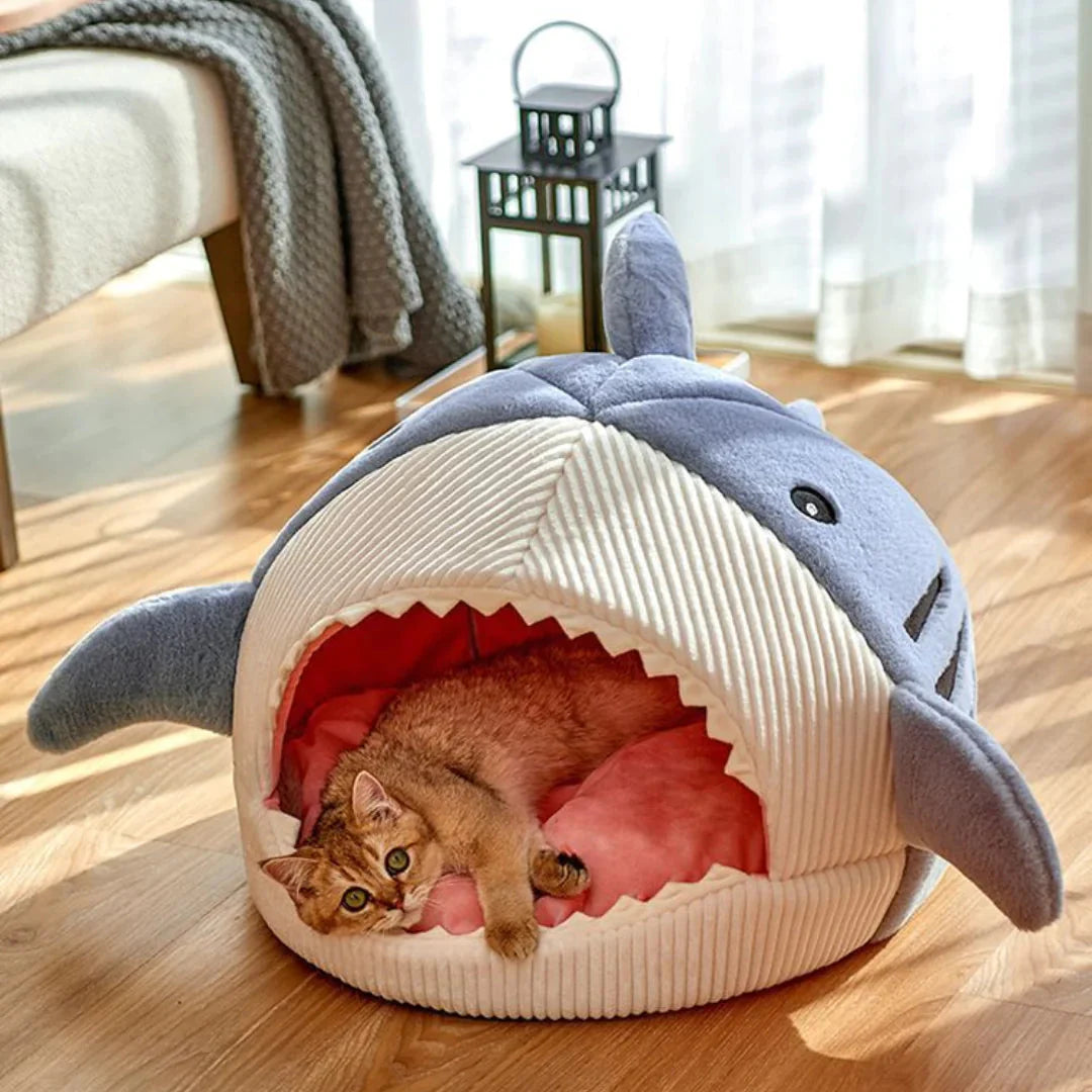 samclint5's tweet photo. Treat your pet to cozy naps in our Luxury Plush Shark Pet Bed โ ultra-soft, cave-like comfort theyโll love. Perfect for restful cuddles and a secure hideaway. $43.61 #PetBed #PetLovers Tap the link in bio. https://t.co/h2QuUyfcOz
