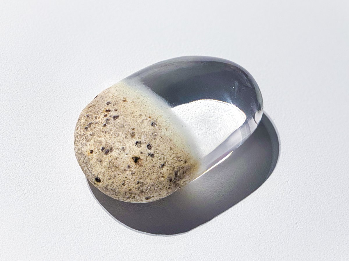 jeadoredisney's tweet photo. FOAM CONTEMPORARY❝儚さについて｜On Transience❞
“儚さ”をテーマに，時間と共に変化し，軈て消えゆくものに着目したグループ展で，氷や蝋，生花，光などの表現を通して，移ろいゆく過程そのものを作品として捉え，日本の無常観や西洋のヴァニタスに通じる儚さの美意識を現代アートから紐解きます😌 https://t.co/JyT4xrqBBh