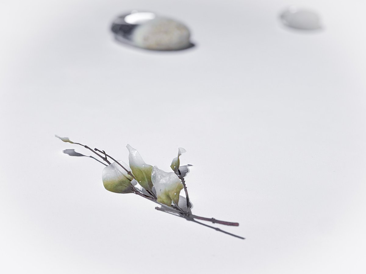 jeadoredisney's tweet photo. FOAM CONTEMPORARY❝儚さについて｜On Transience❞
“儚さ”をテーマに，時間と共に変化し，軈て消えゆくものに着目したグループ展で，氷や蝋，生花，光などの表現を通して，移ろいゆく過程そのものを作品として捉え，日本の無常観や西洋のヴァニタスに通じる儚さの美意識を現代アートから紐解きます😌 https://t.co/JyT4xrqBBh