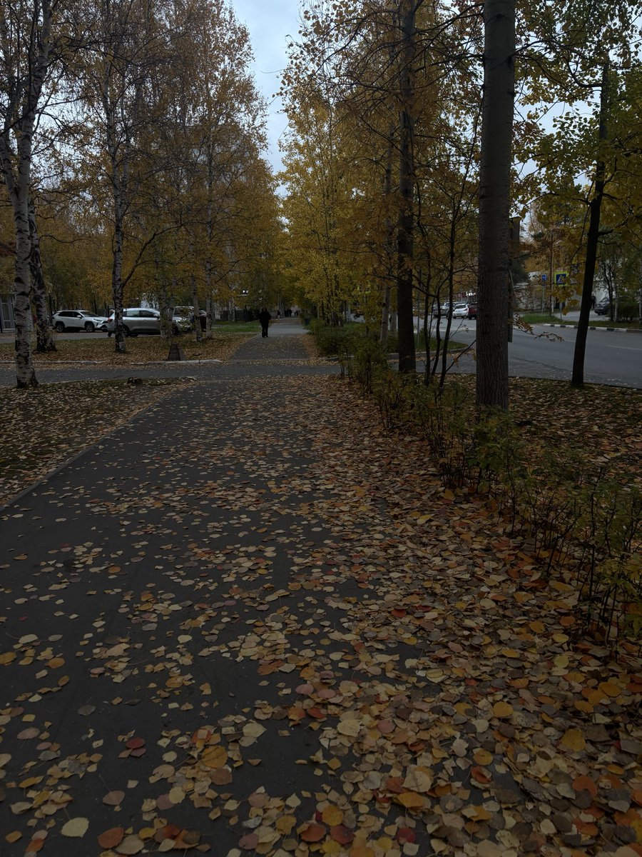passionfru111t's tweet photo. осенний vibe (я заболела) 🍂 https://t.co/awFNq65ZUN